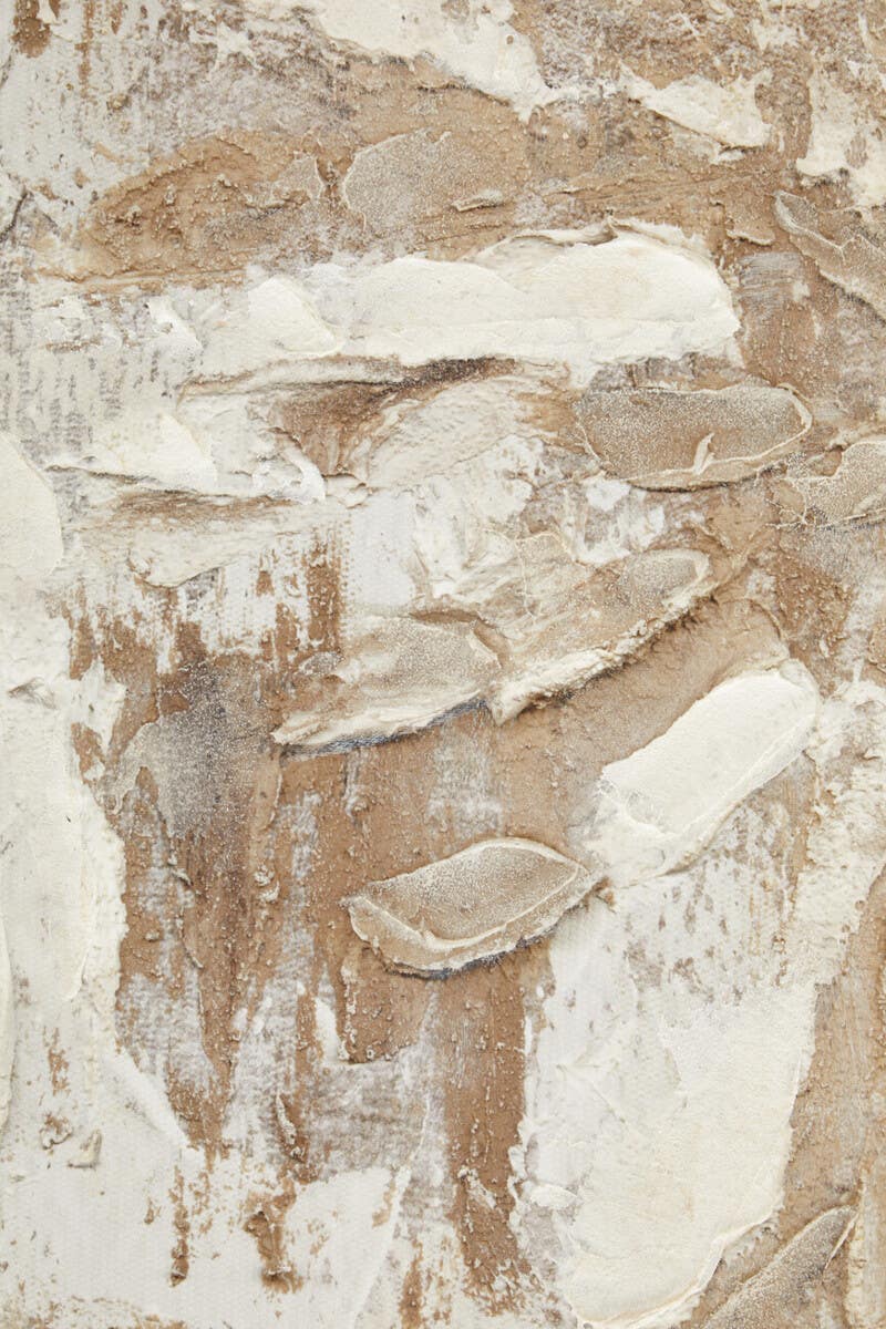Astratto Set Of 2 Neutral Hued Textured Wall Art