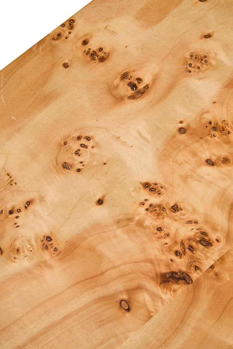 Mota Burl Wood Design Curved Coffee Table — supplier image 7