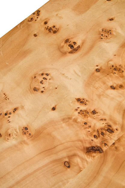 Mota Burl Wood Design Curved Coffee Table — supplier image 7