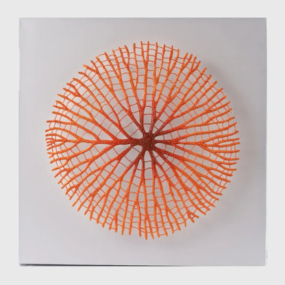 Abstract Orange Coral Wall Art 1