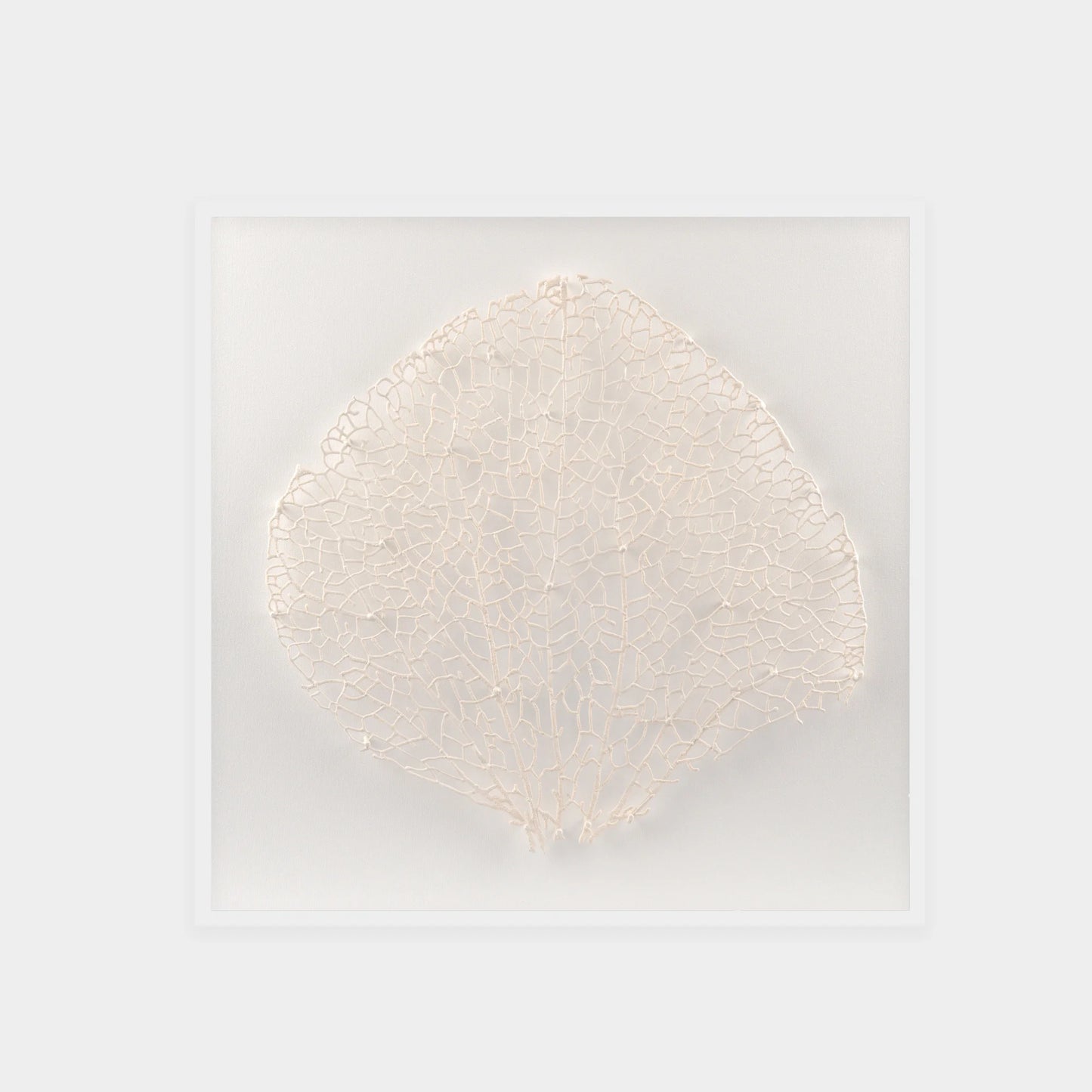 Abstract White Coral Wall Art 8
