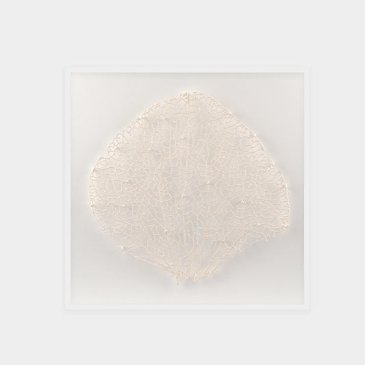 Abstract White Coral Wall Art 8