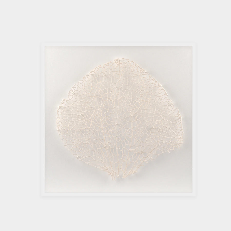 Abstract White Coral Wall Art 8