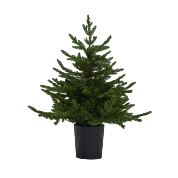 Green Forest Fir Pre-Lit 300 LED Christmas Tree In Pot