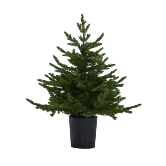 Green Forest Fir Pre-Lit 300 LED Christmas Tree In Pot
