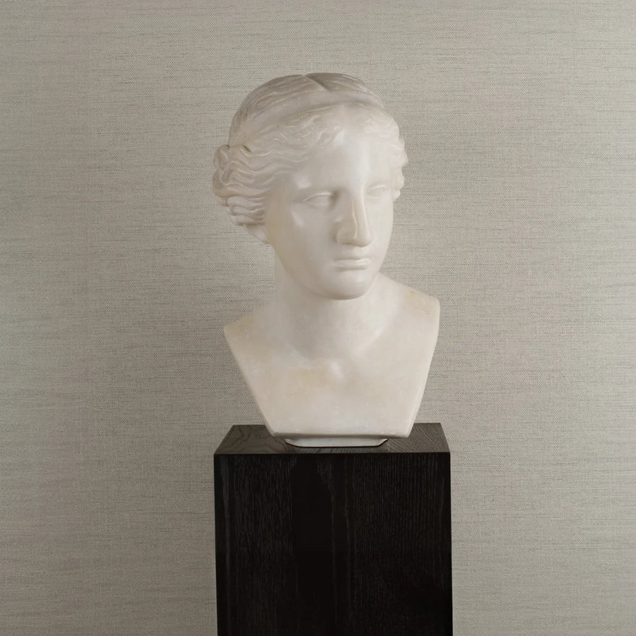 Decorative Marble Female Bust