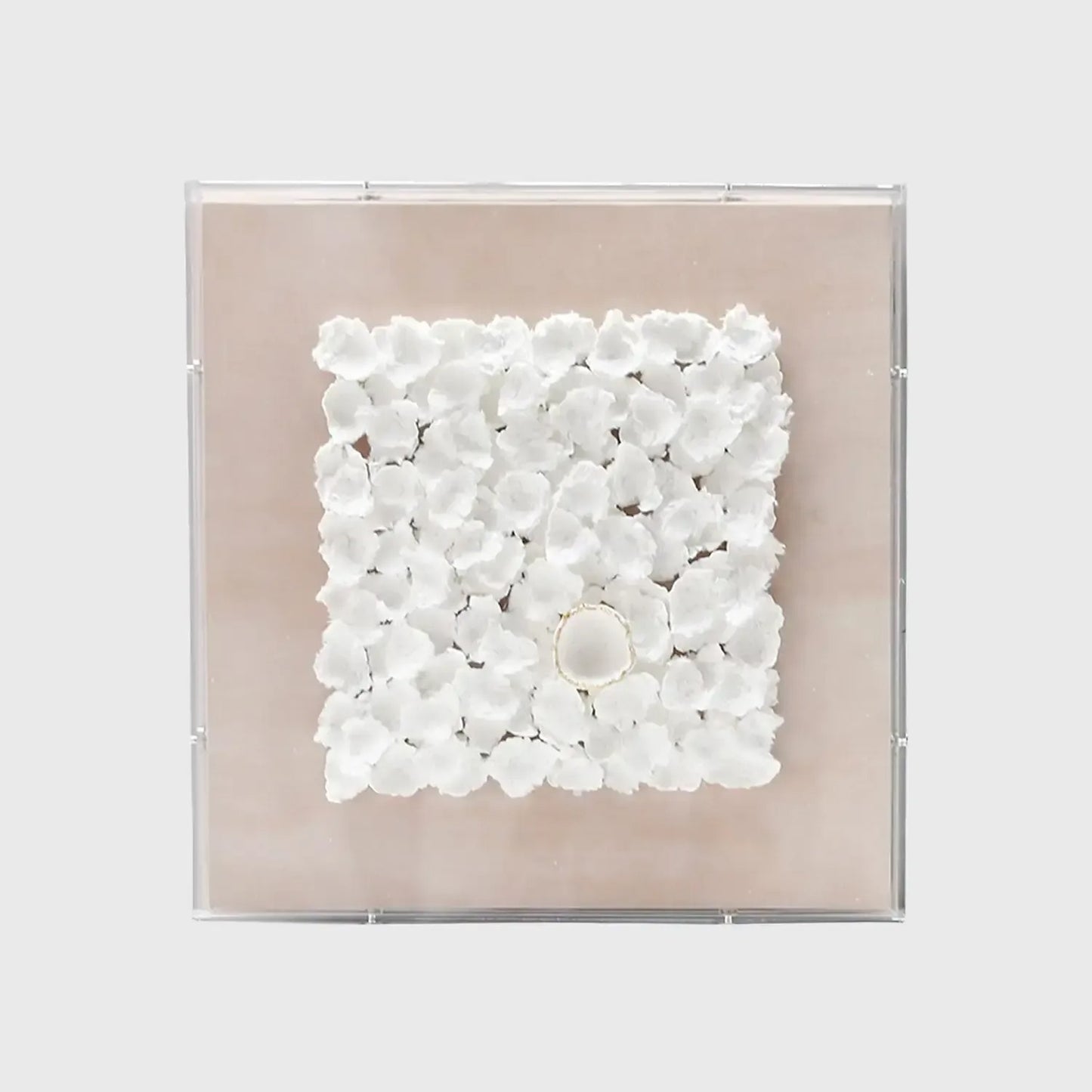 Petalcrest Handmade Dimensional Paper Wall Art