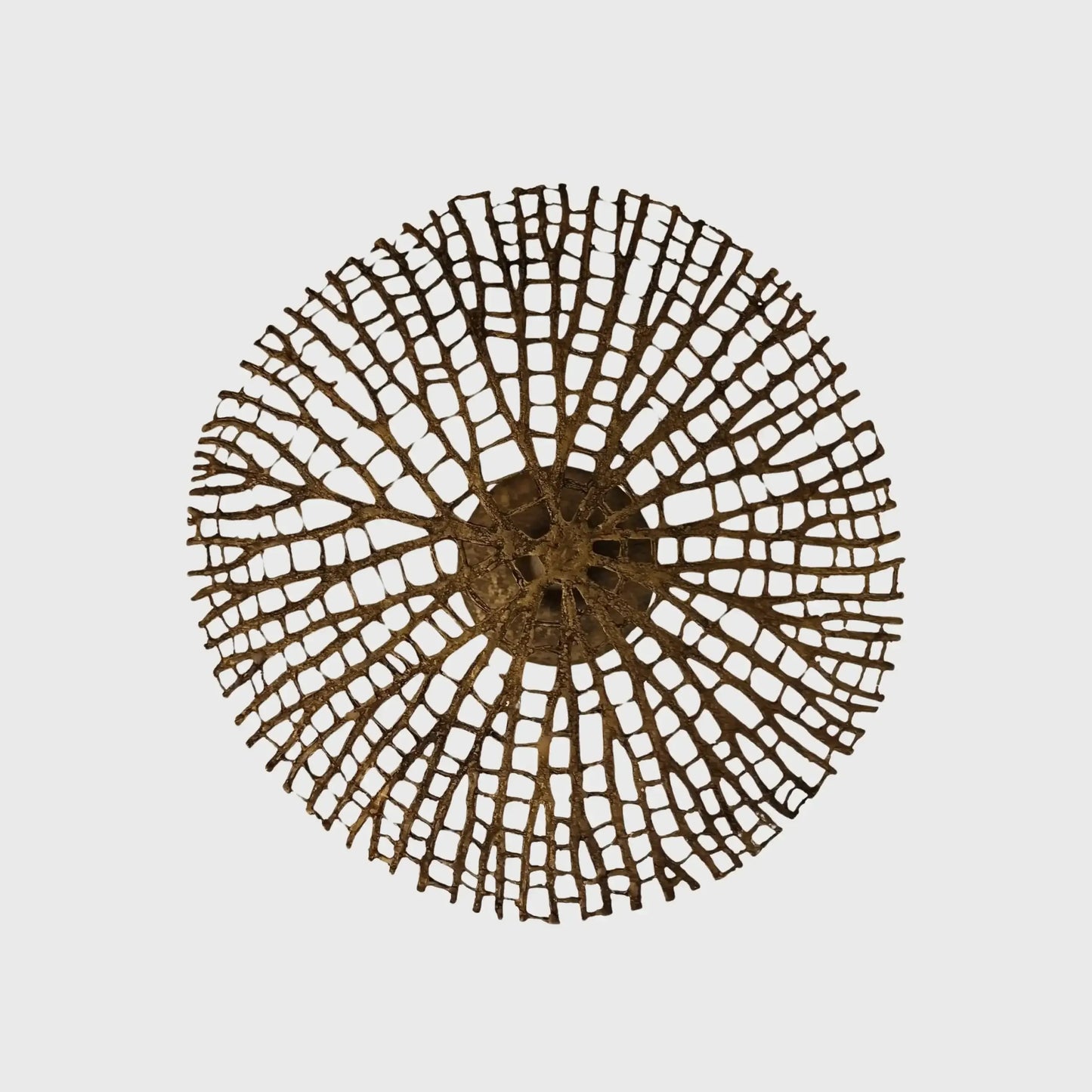 Champagne Side Table (Copy)Coral Side Table Bronze Dorato